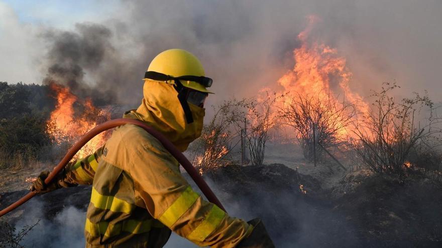 El incendio de Zamora avanza sin control