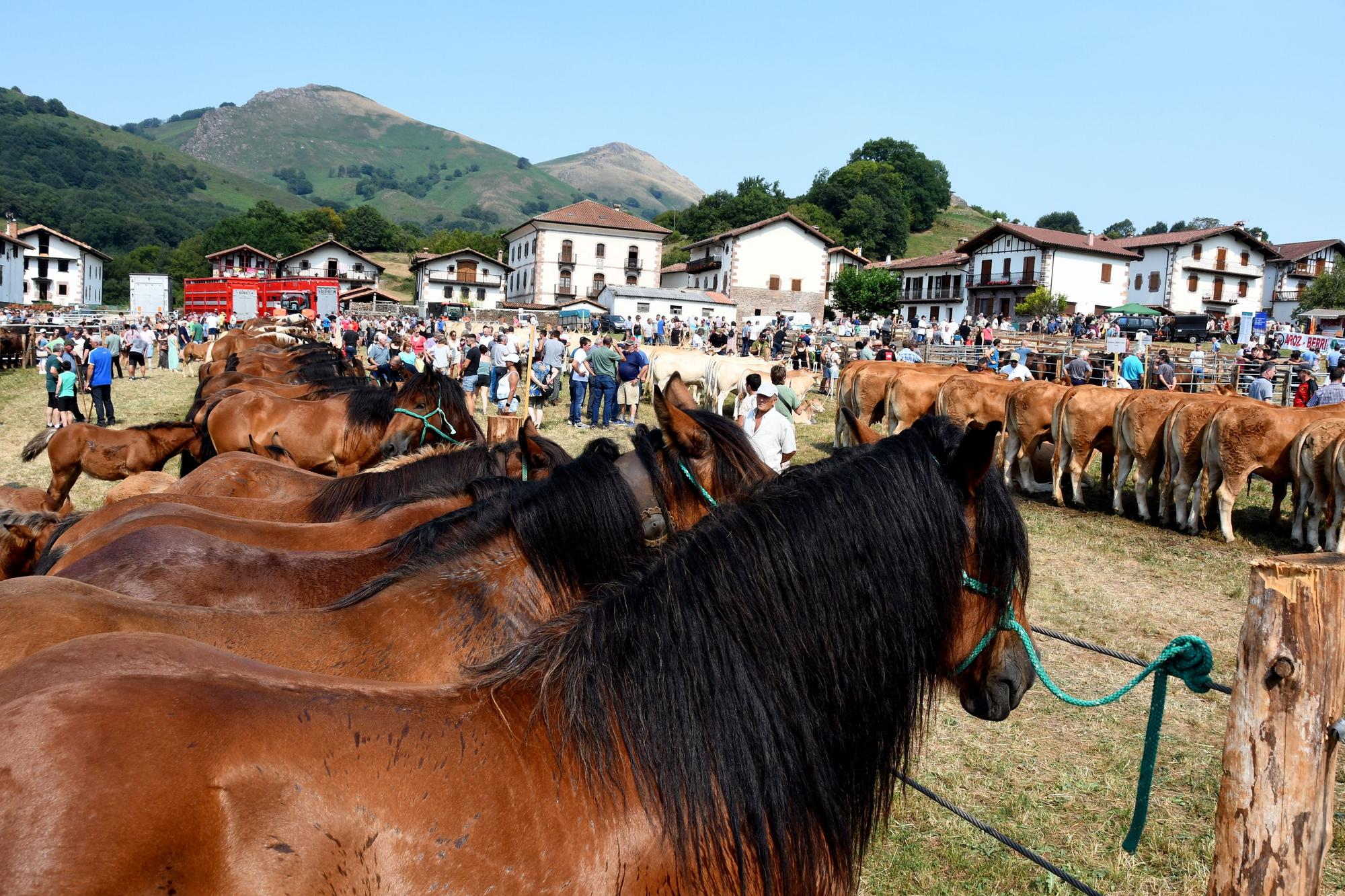 Artzai Eguna en Amaiur