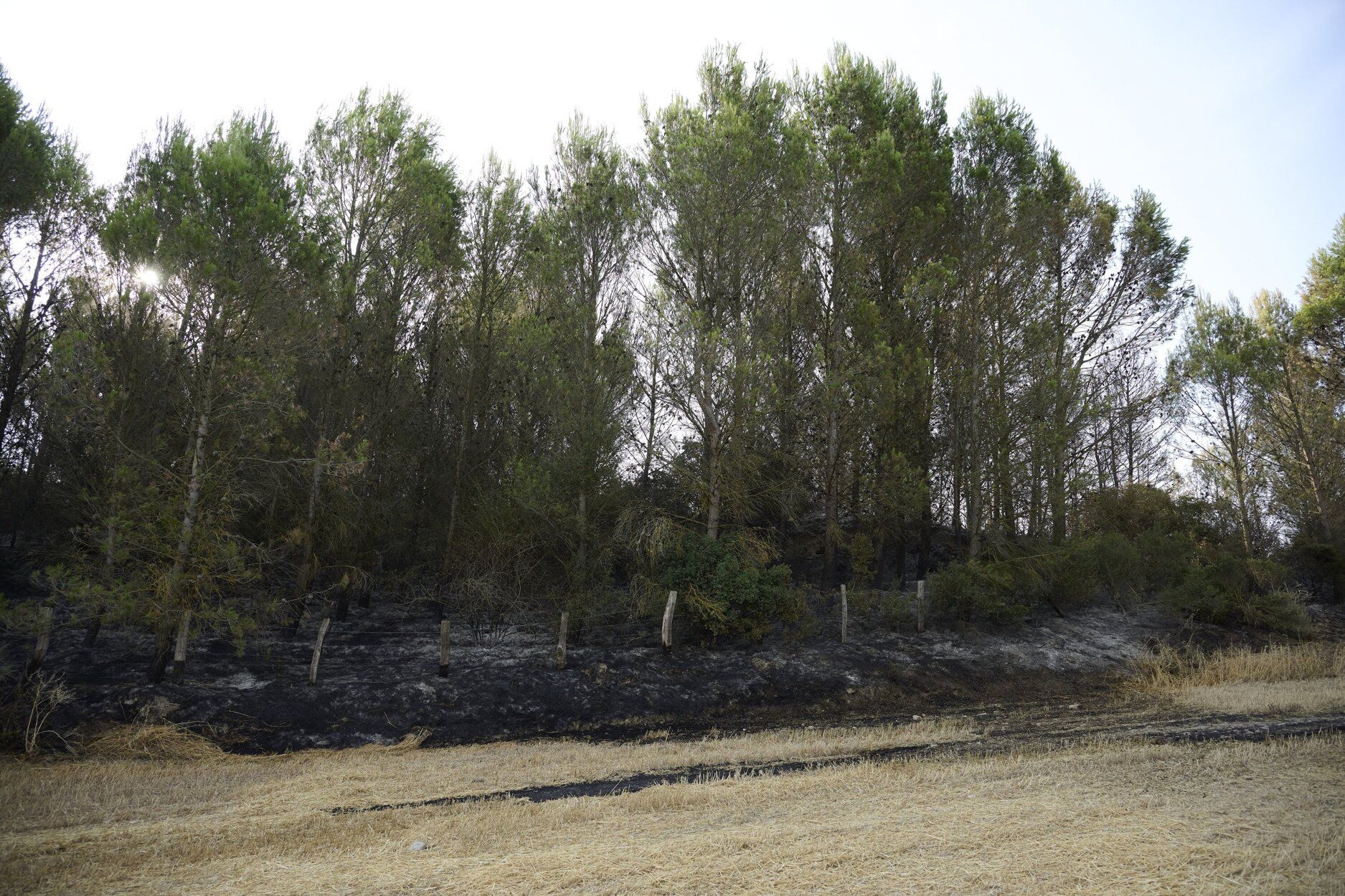 Imágenes de la zona afectada por el incendio en Enériz