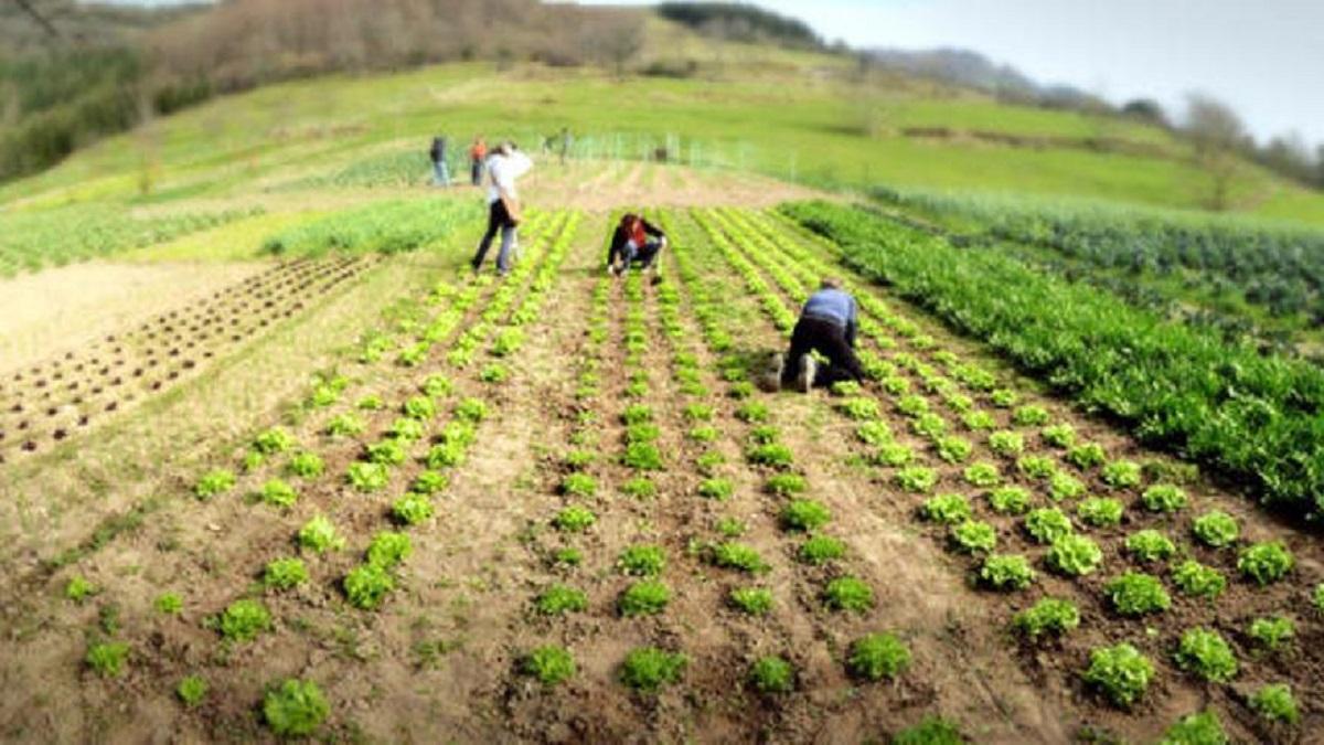 El Congreso Gure Lurra reconocerá el papel del primer sector en la historia de Gipuzkoa