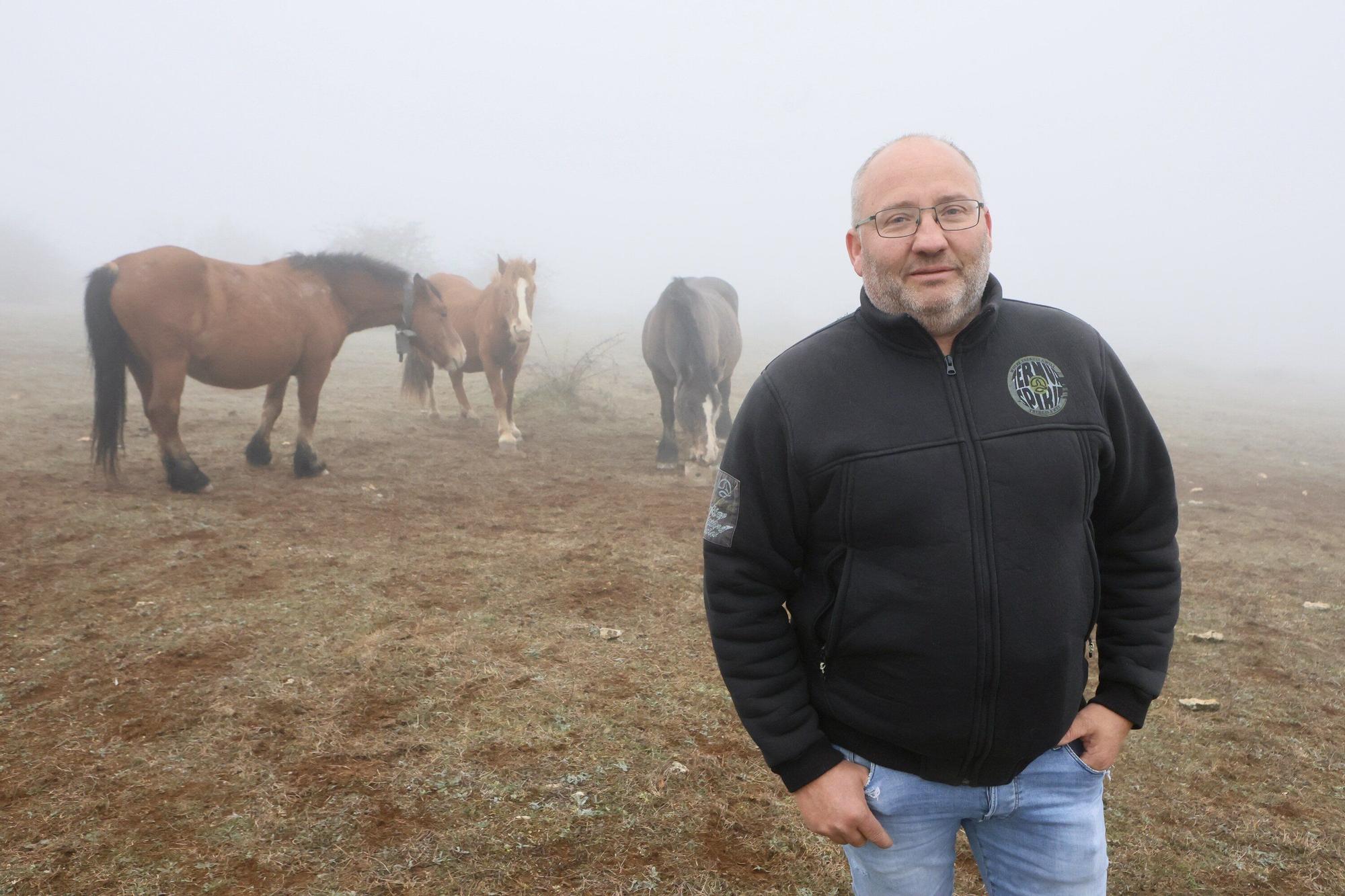 Reportaje a Raúl Rituerto, presidente de la Asociación alavesa de criadores de equino