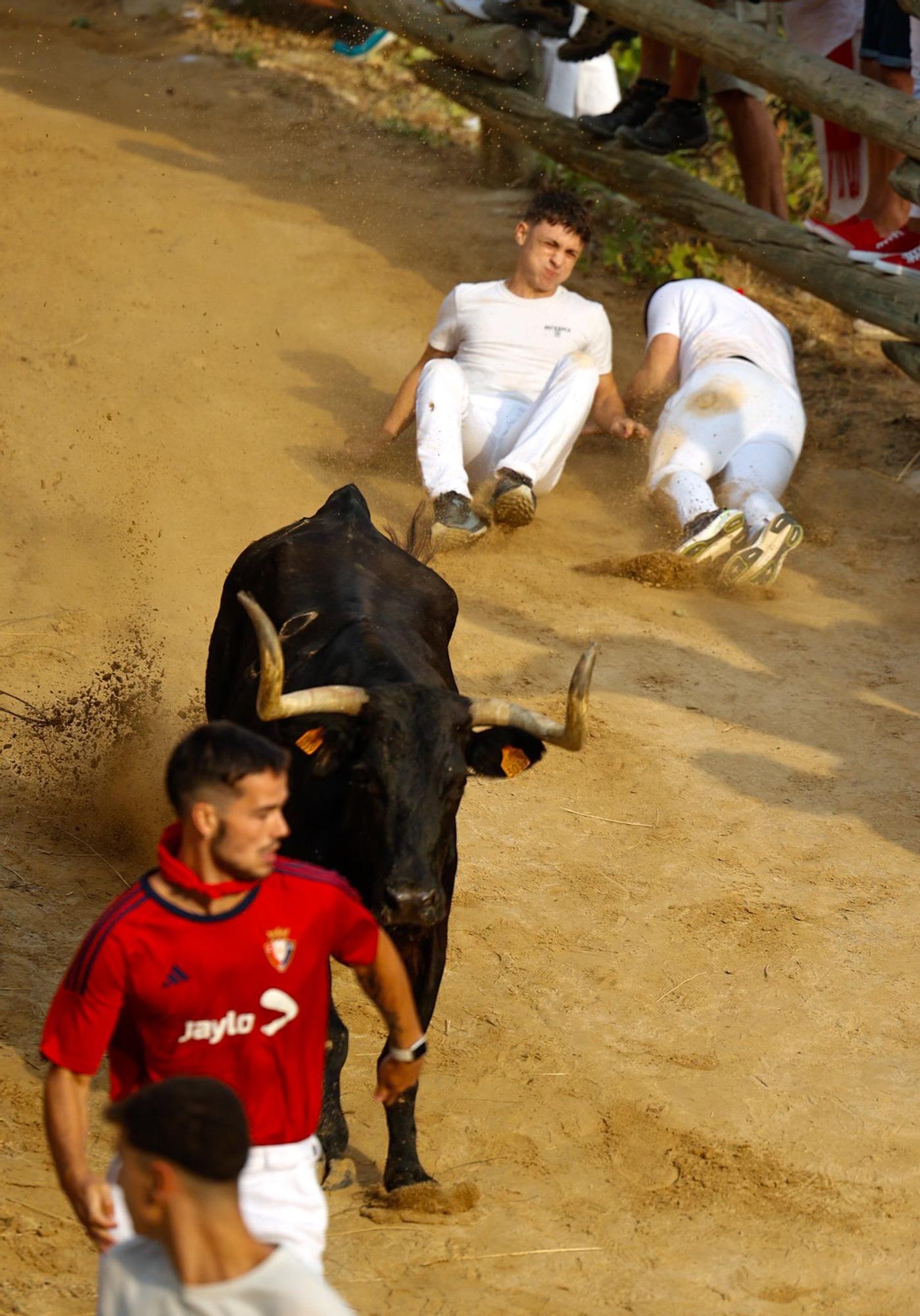 Fotos del segundo encierro del Pilón de Falces 2025
