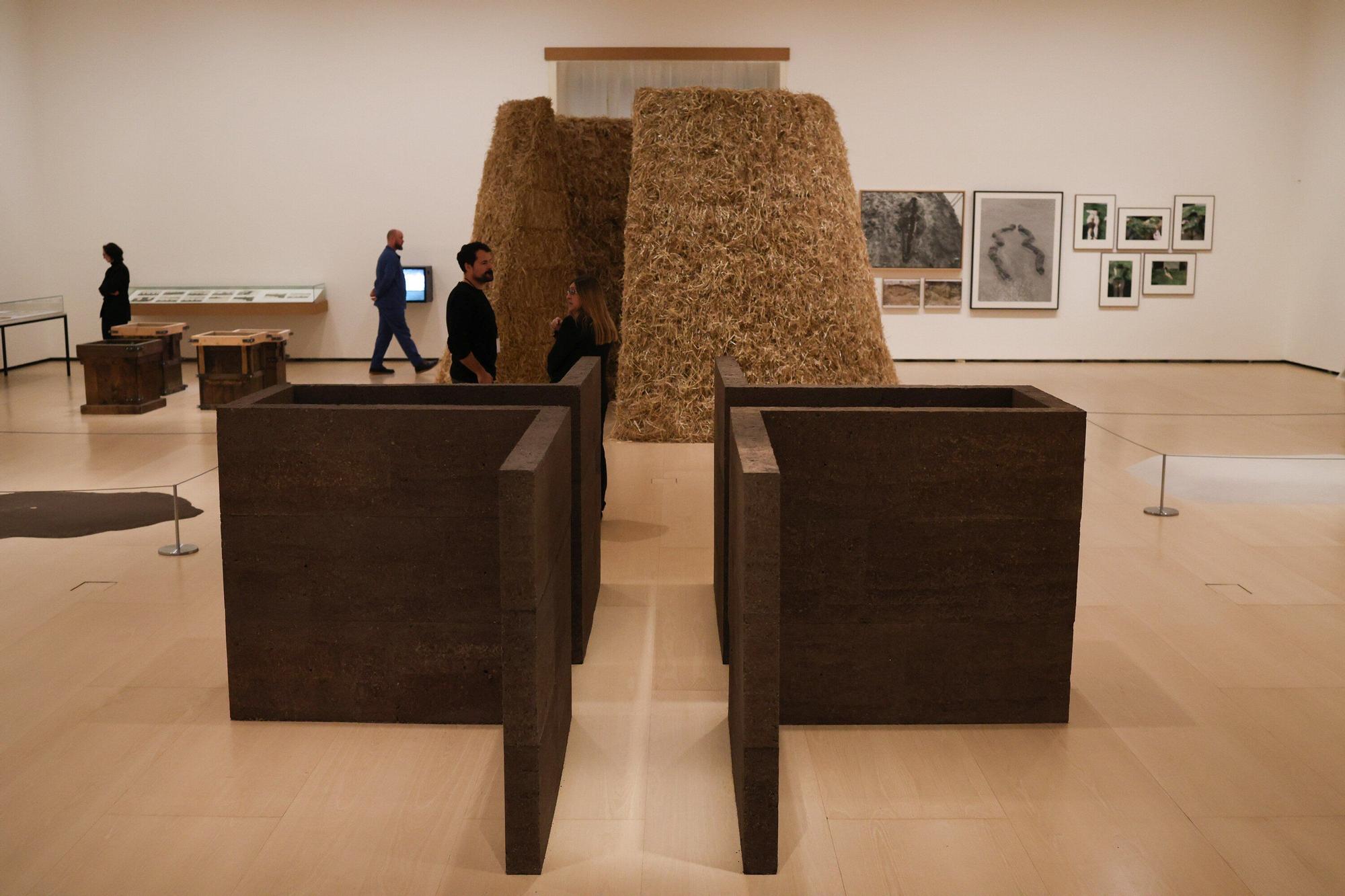 Arte y tierra, nueva exposición del Guggenheim