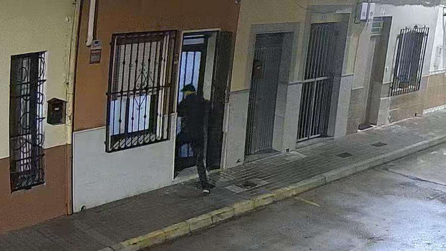 Un perro evita el secuestro de una mujer en Valencia al morder a uno de los atacantes