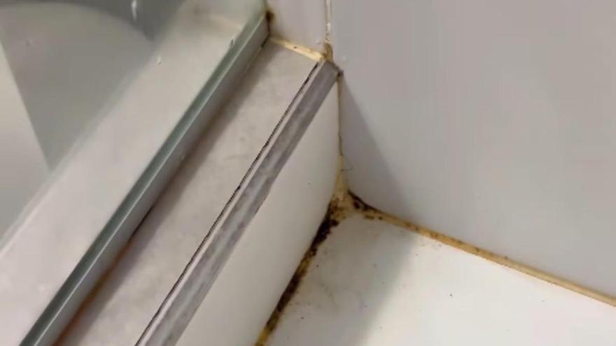 La clave para olvidarse del moho en el baño, según una experta en limpieza