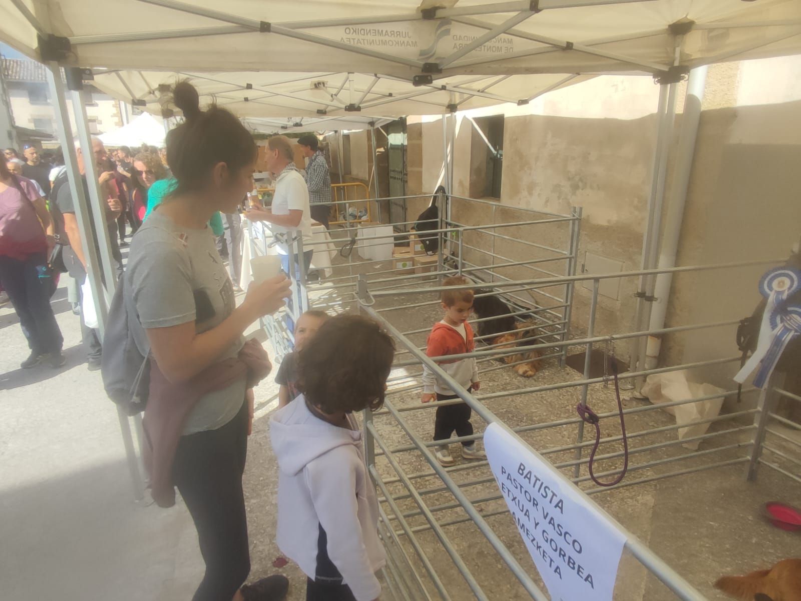 Fotos del Día del pastor en Améscoa