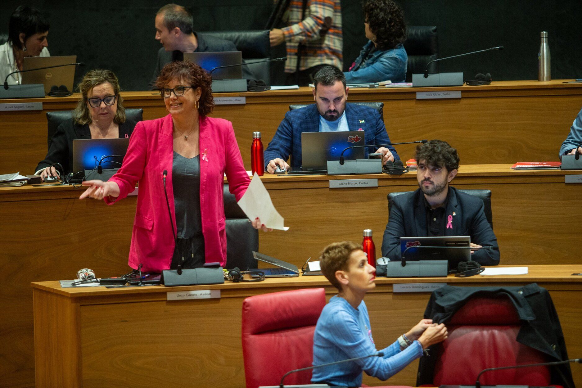 Fotos del pleno del Parlamento de Navarra de este jueves