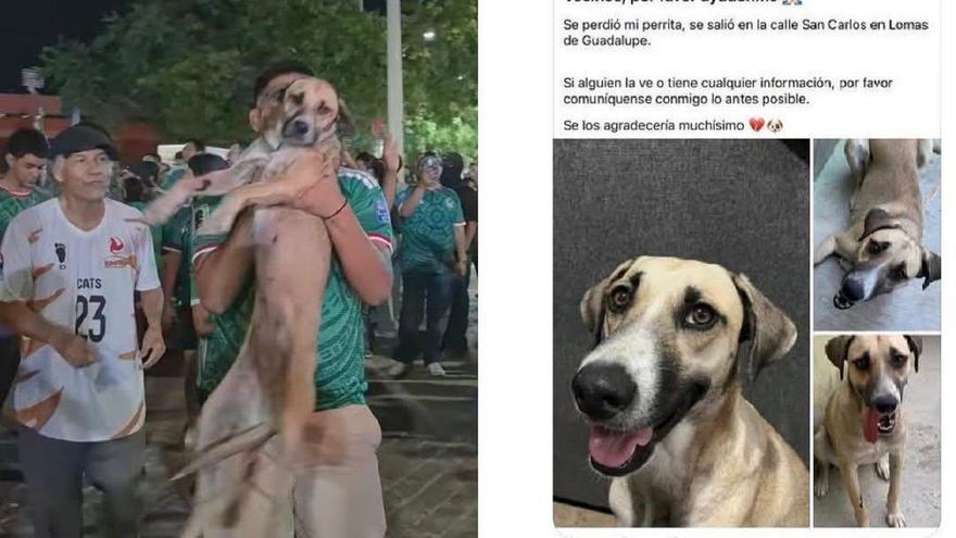 Una joven encuentra a su perrita tras un mes perdida en plena celebración de la goleada de México