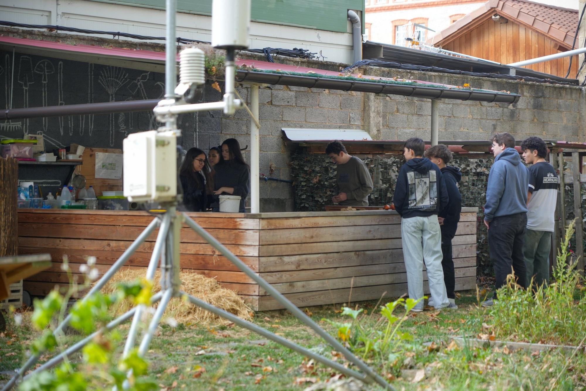 En imágenes: La UPV/EHU impulsa un curso de agricultura ecológica en el Campus de Álava