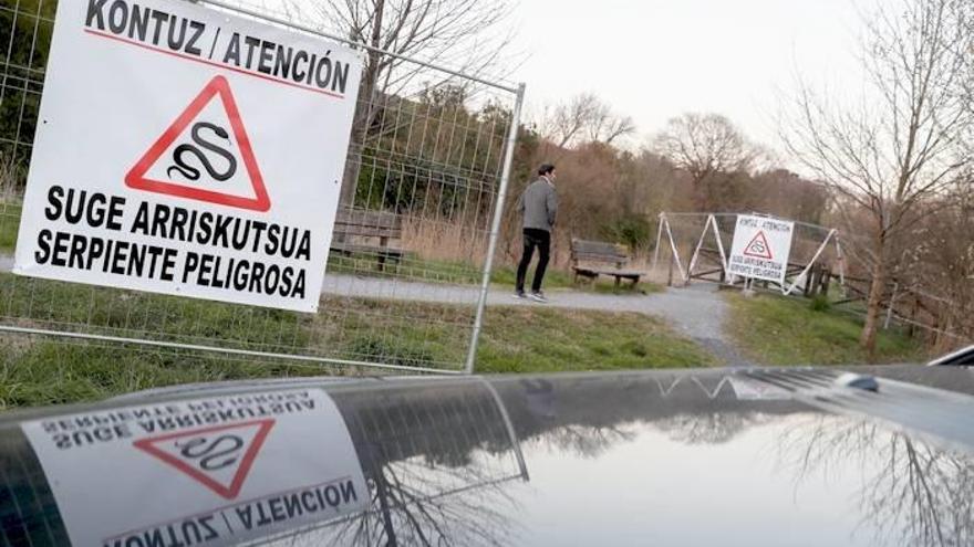 Herpetólogos de la Sociedad de Ciencias Aranzadi buscan un ejemplar de víbora de Gabón, una serpiente africana potencialmente peligrosa, en una zona de las marismas de Amute, en Hondarribia