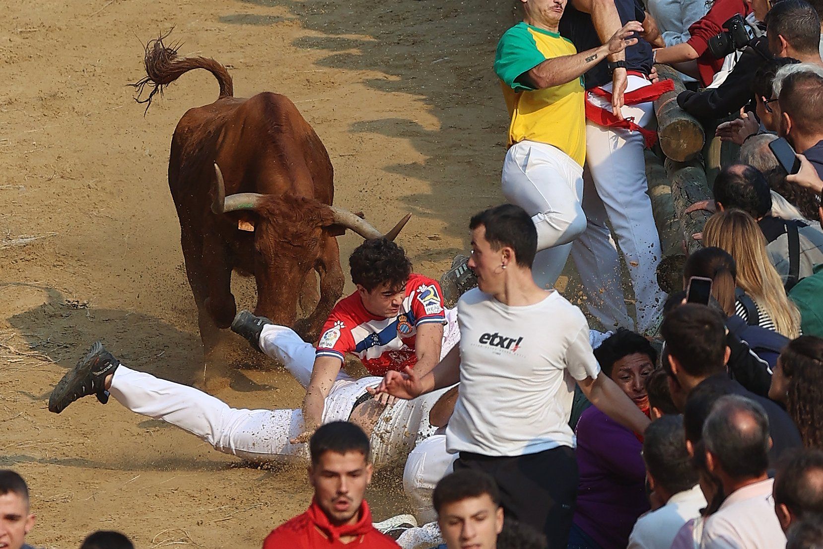 Fotos del cuarto encierro del Pilón de Falces 2025