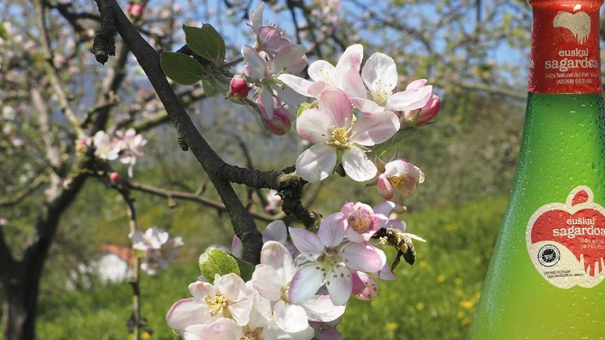 Euskal Sagardoa, historia luzeko produktua, gaur egungo mahaietan