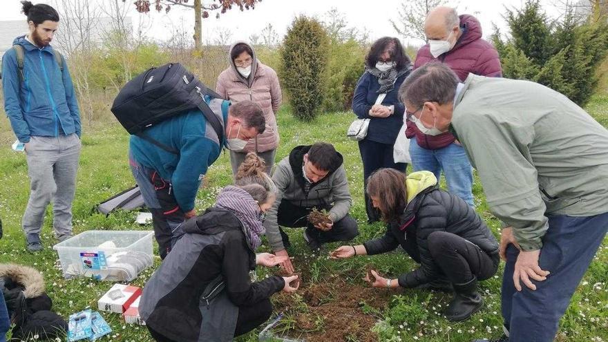 Vitoria estudia junto a su ciudadanía cómo respiran sus suelos