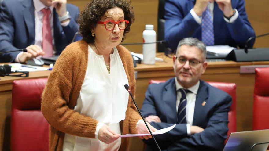 Maeztu muestra su &quot;indignación profunda&quot; por el &quot;plante&quot; del PP en la sectorial sobre reparto de menores migrantes