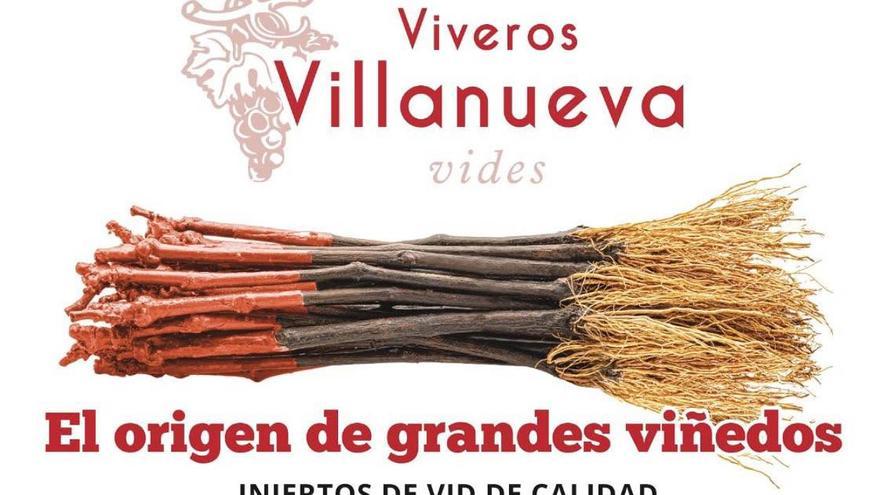 Vivereco25 y el plan de economía circular para el sector de la vid