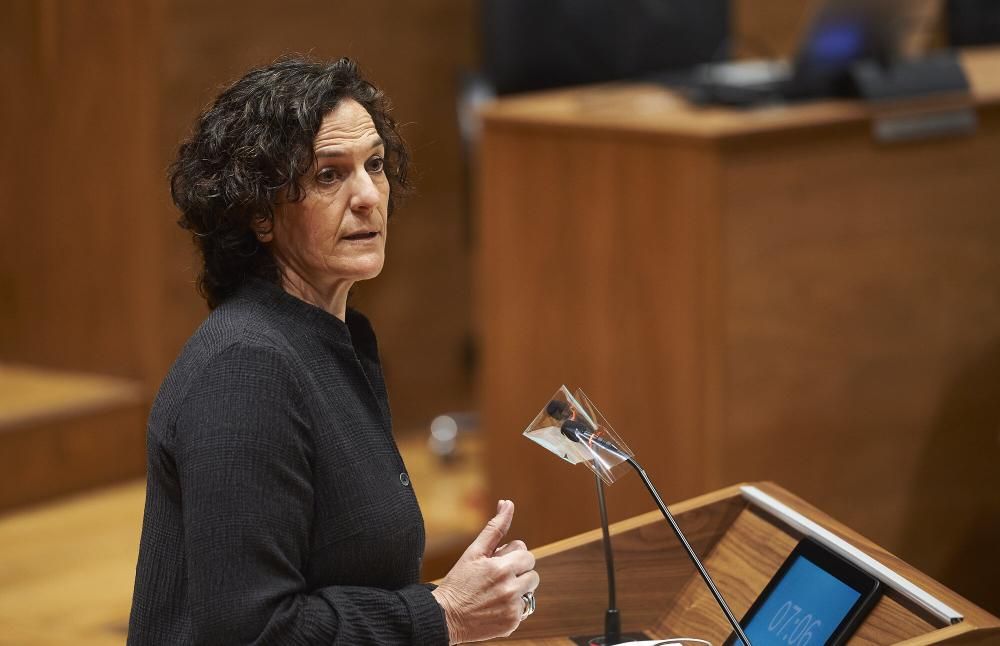 Pleno del Parlamento de Navarra