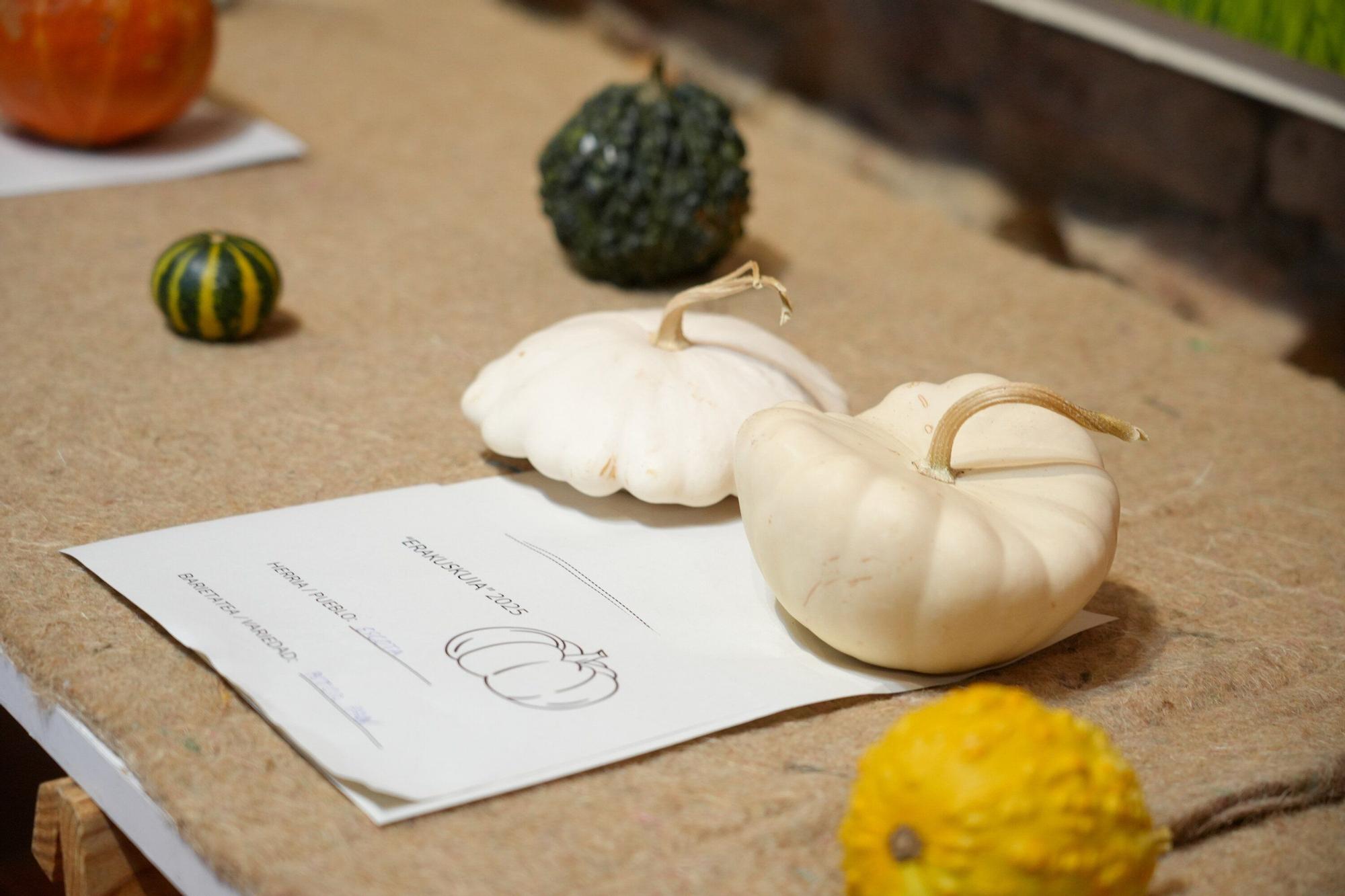 En imágenes: Exposición de calabazas en la Casa de la Dehesa