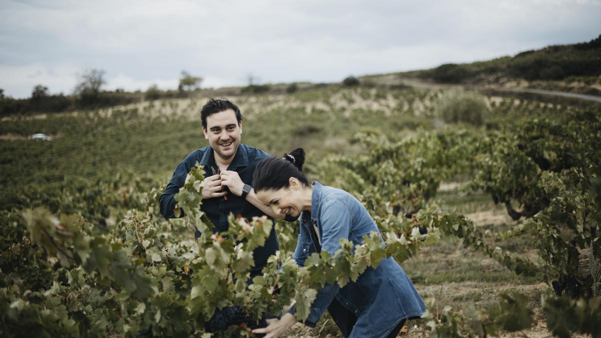 Mikel García, junto con Sara, recolectando uvas para preparar Xako, su nuevo y singular proyecto con las uvas de  la Hondarribi beltza.