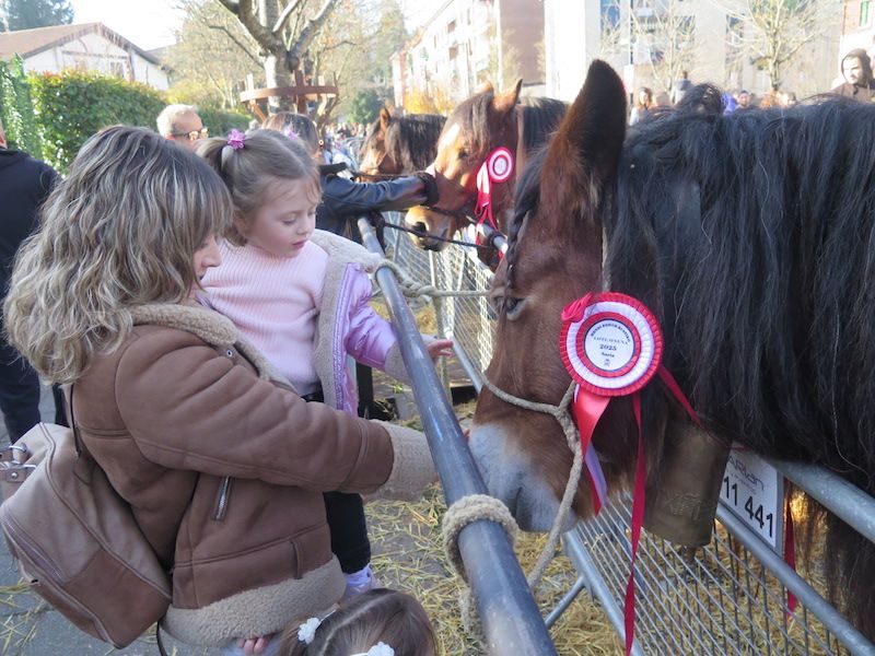 La feria de Santa Lucía, en imágenes