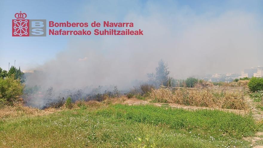 Tres incendios de vegetación movilizan a numerosos efectivos en Peralta, Viana y Corella durante la mañana