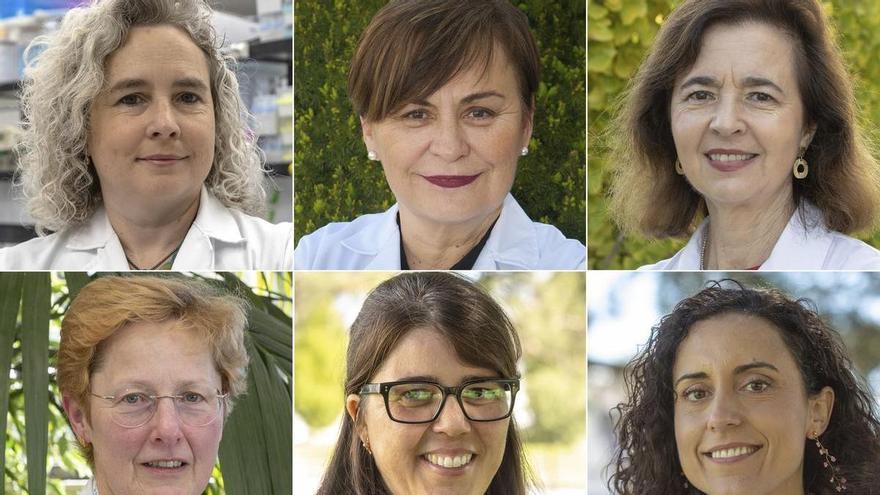 133 investigadoras de la Universidad de Navarra, en el ranking del CSIC de científicas con mayor impacto