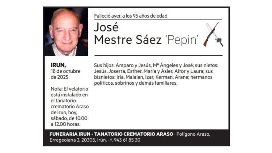 José Mestre Sáez