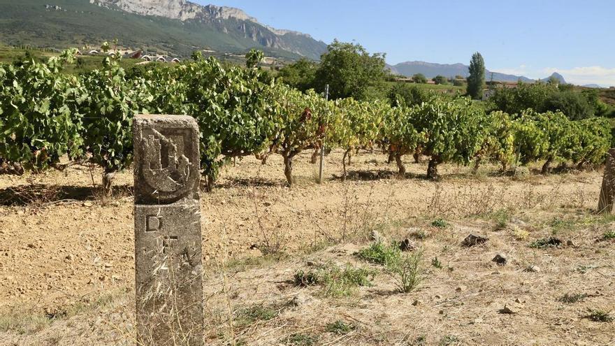 Ramiro González pide a la bodegas alavesas “responsabilidad y solidaridad”