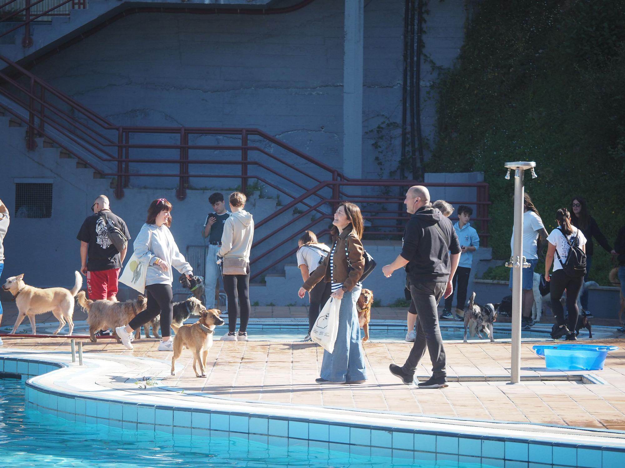 Las piscinas de Eibar han sido coto privado para los perros