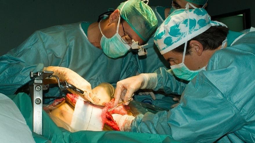 Trasplantado por primera un hígado de cerdo modificado genéticamente a una persona viva
