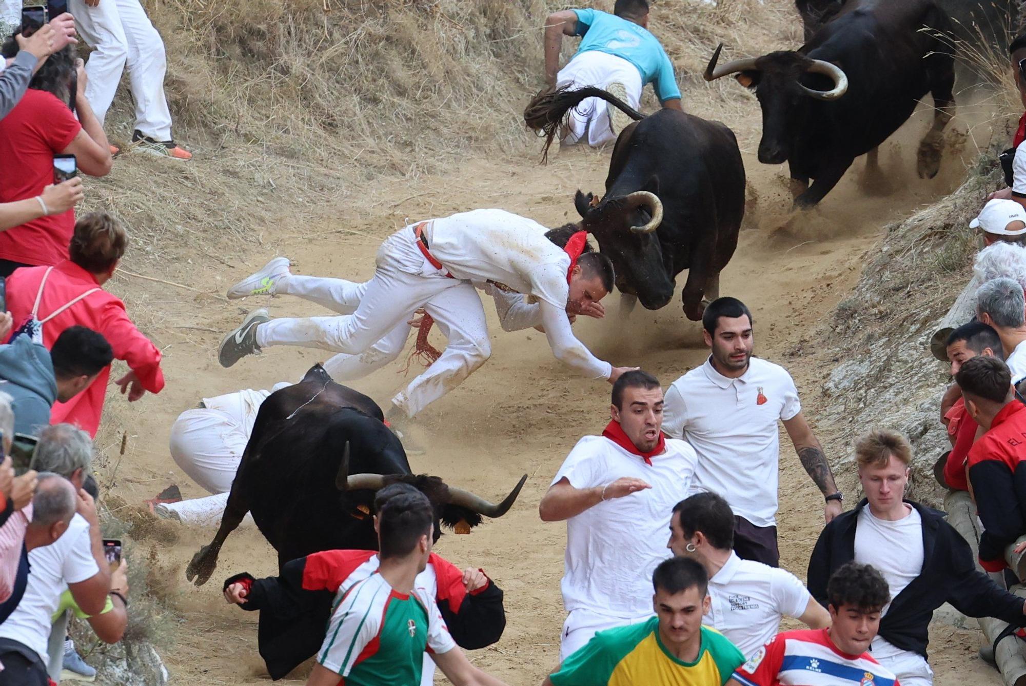 Fotos del tercer encierro del Pilón de Falces 2025