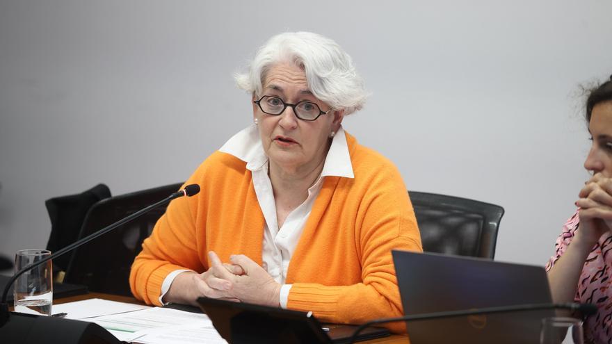 Goicoechea niega haber conocido la UTE de Acciona y Servinabar para Mina Muga y subraya la complejidad de su tramitación