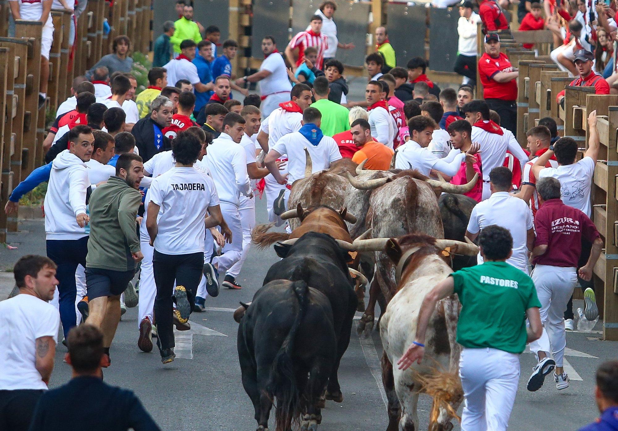 Fotos del primer encierro de las fiestas de Tudela 2025