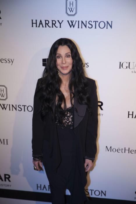 Cher posa a su llegada a la gala "Inspiration" promovida por la Fundación Americana para la Investigación contra el Sida (amfAR). 2015