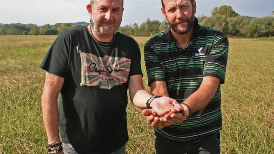 Los impulsores del proyecto de pan artesano, con variedades de trigo autóctonas.