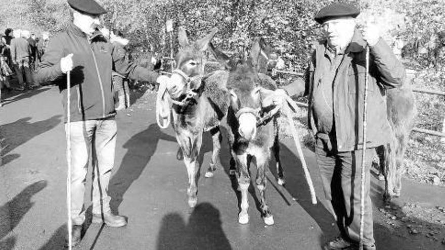 El evento potencia la recuperación del burro de las Encartaciones.