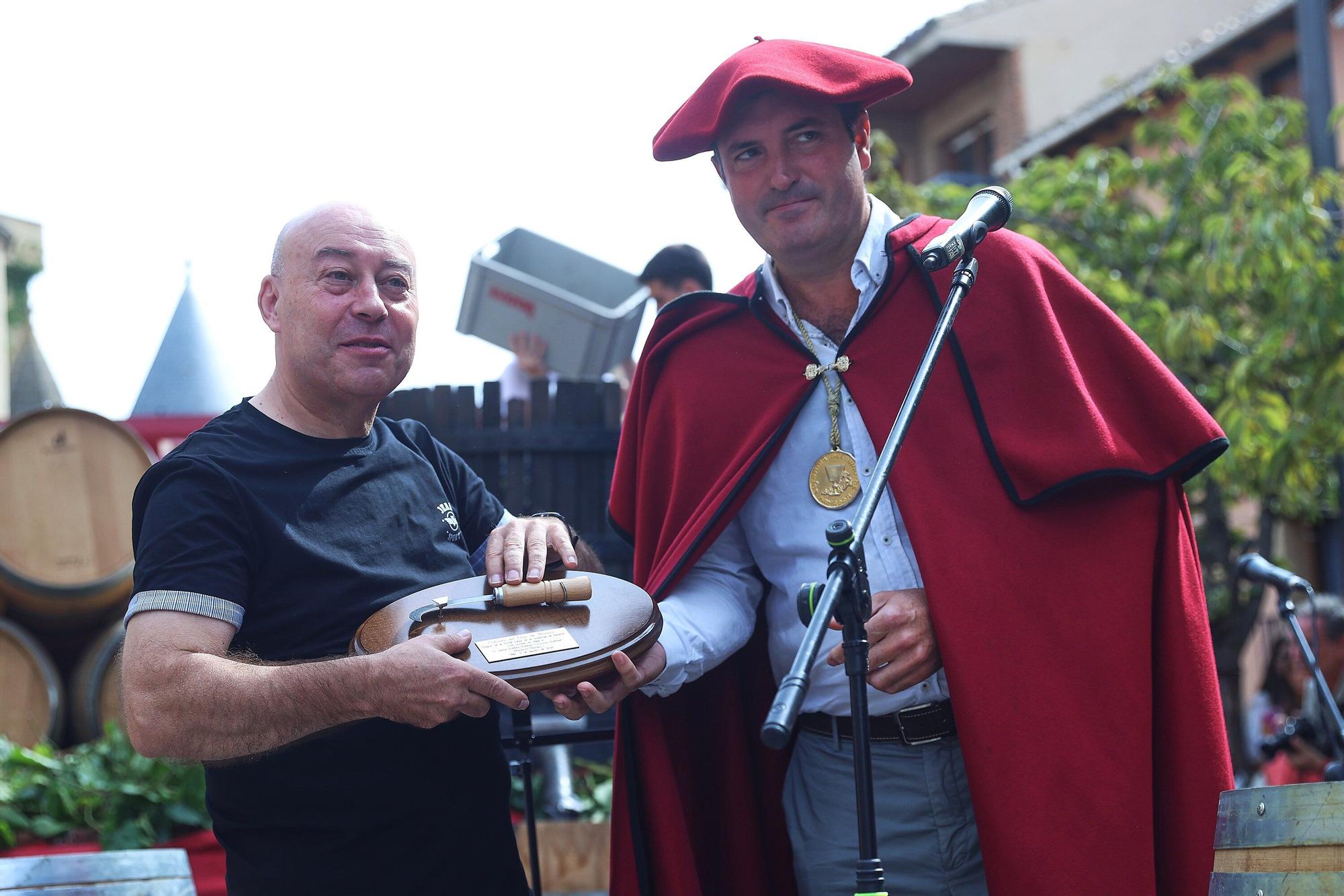 Fotos de la Fiesta de la Vendimia 2025 en Olite