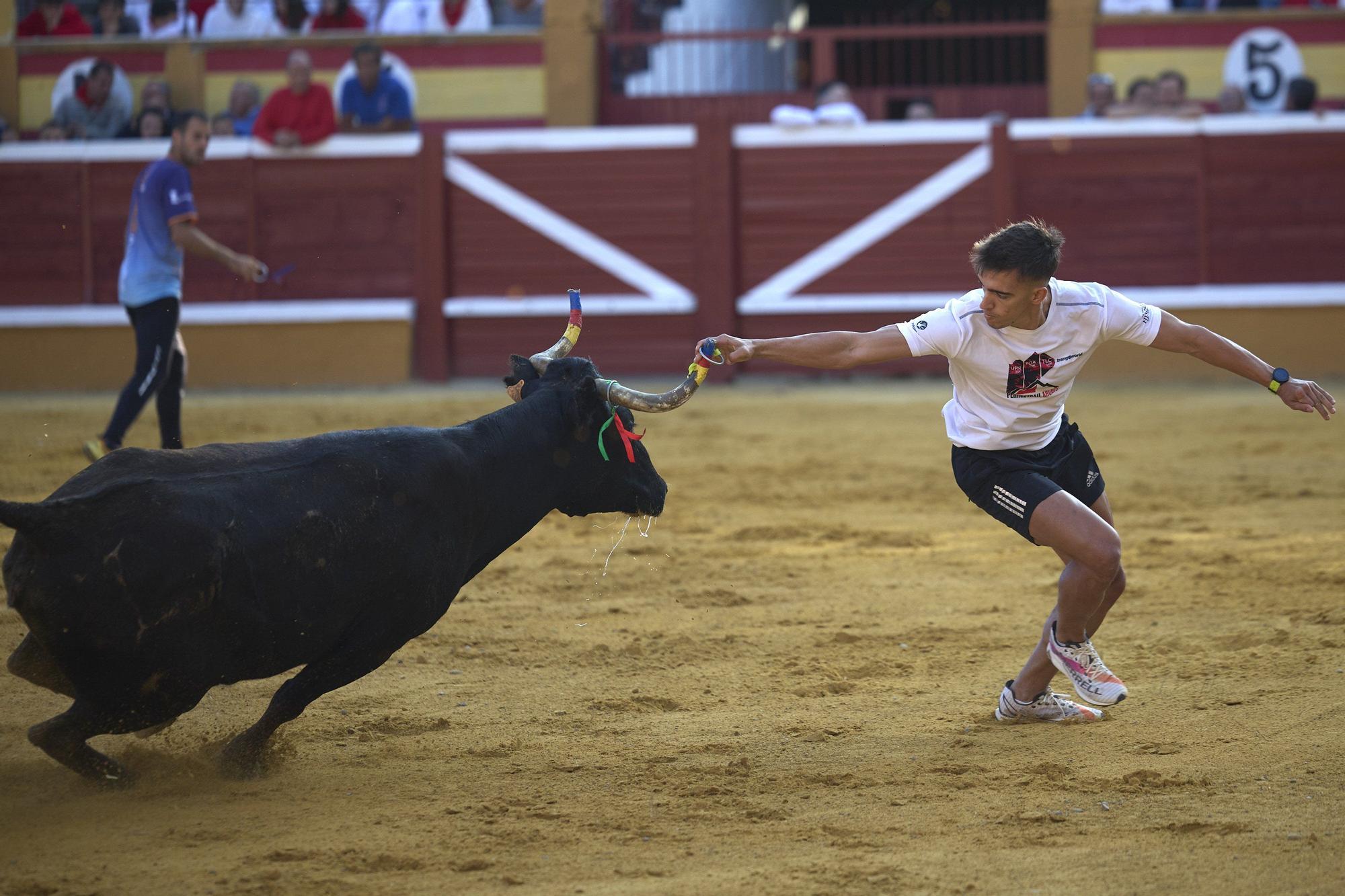 Suelta de vaquillas en las fiestas de Tudela (viernes 25 de julio de 2025)