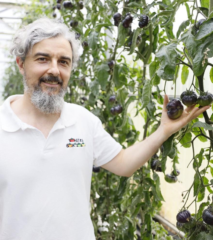 El tomate de siempre: el que sabe a tomate
