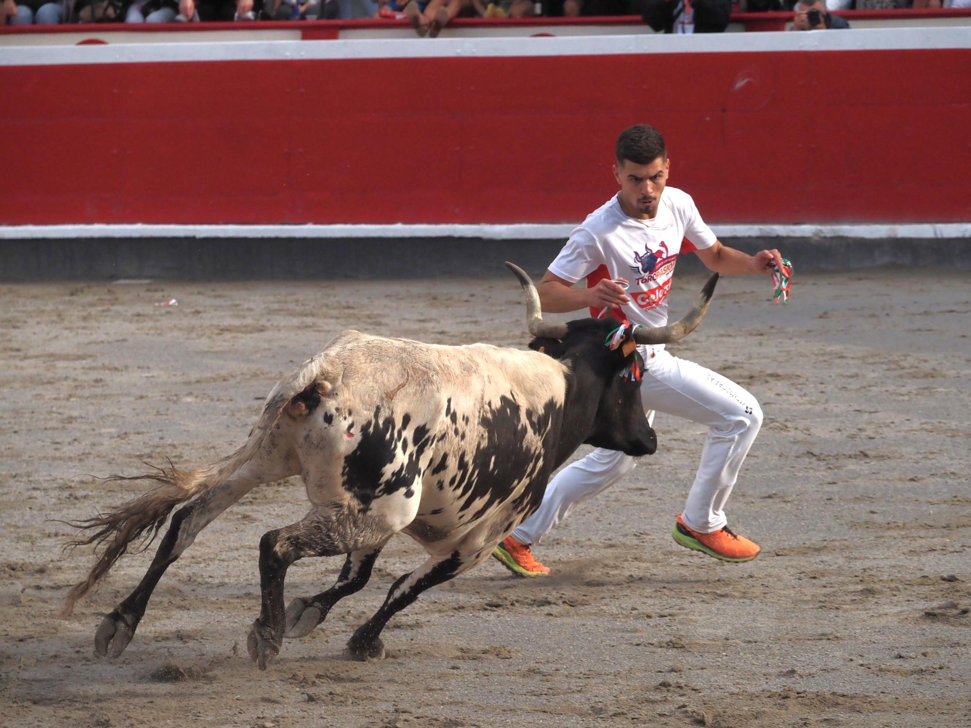 El extremeño Israel Pérez 'Ruso' se estrena con victoria en el Campeonato de Recortadores de Azpeitia