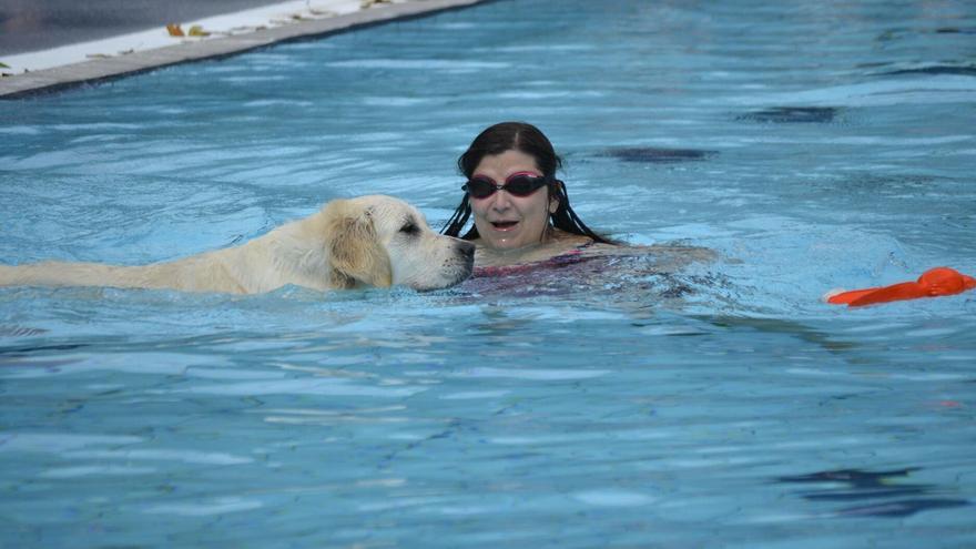 Los perros tienen una cita este sábado en las piscinas de Eibar para darse un chapuzón