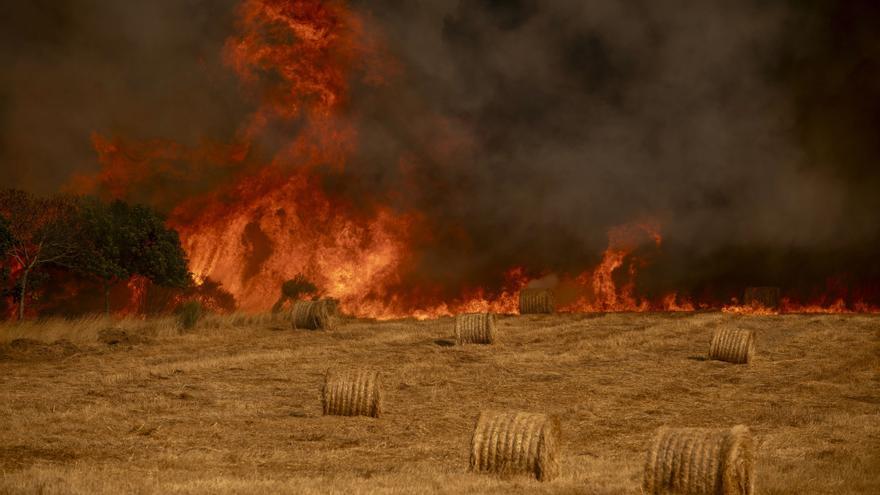 El papel del clima en los incendios forestales