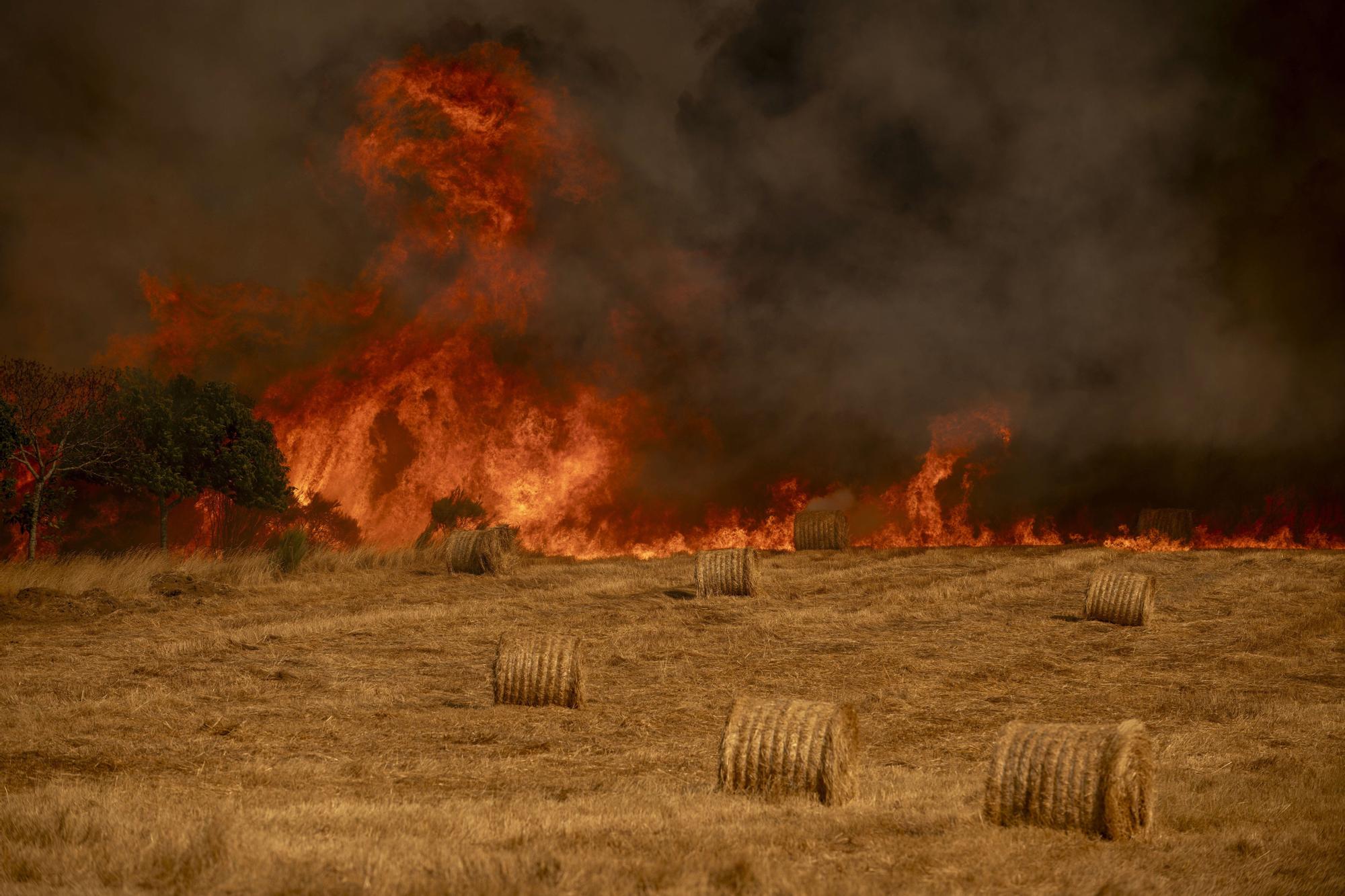 Incendios en Ourense: labores de extinción en un nuevo fuego declarado en A Gudiña