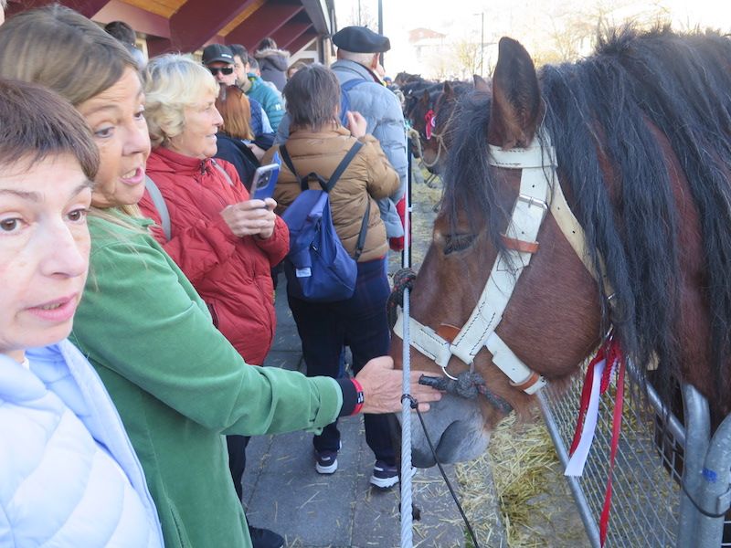 La feria de Santa Lucía, en imágenes