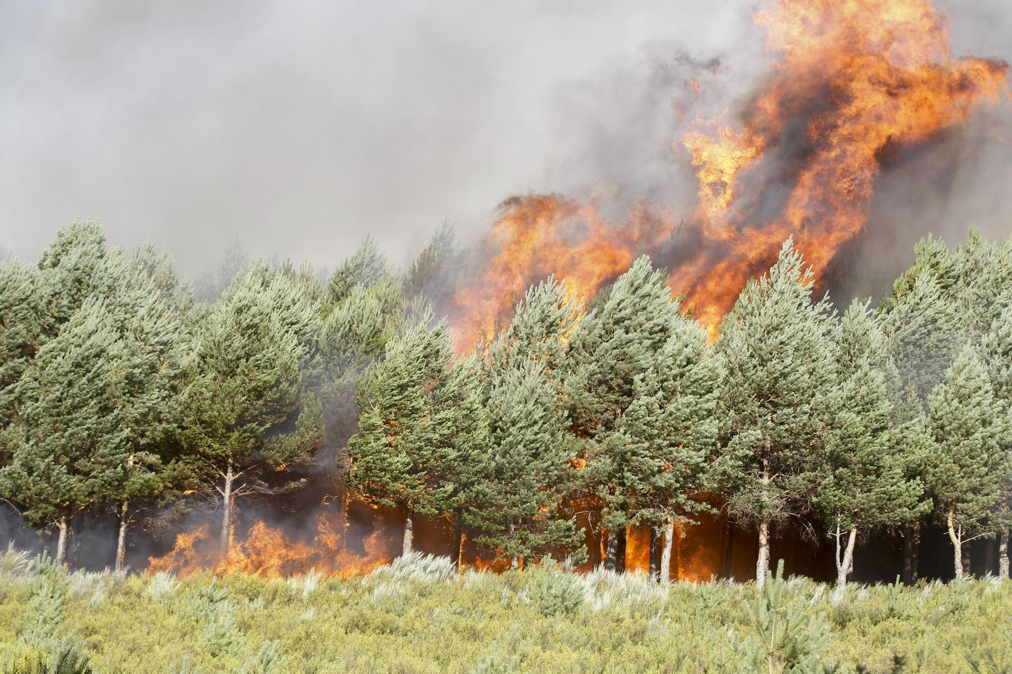 Semana negra de incendios: Cuatro muertos y 120.000 hectáreas quemadas