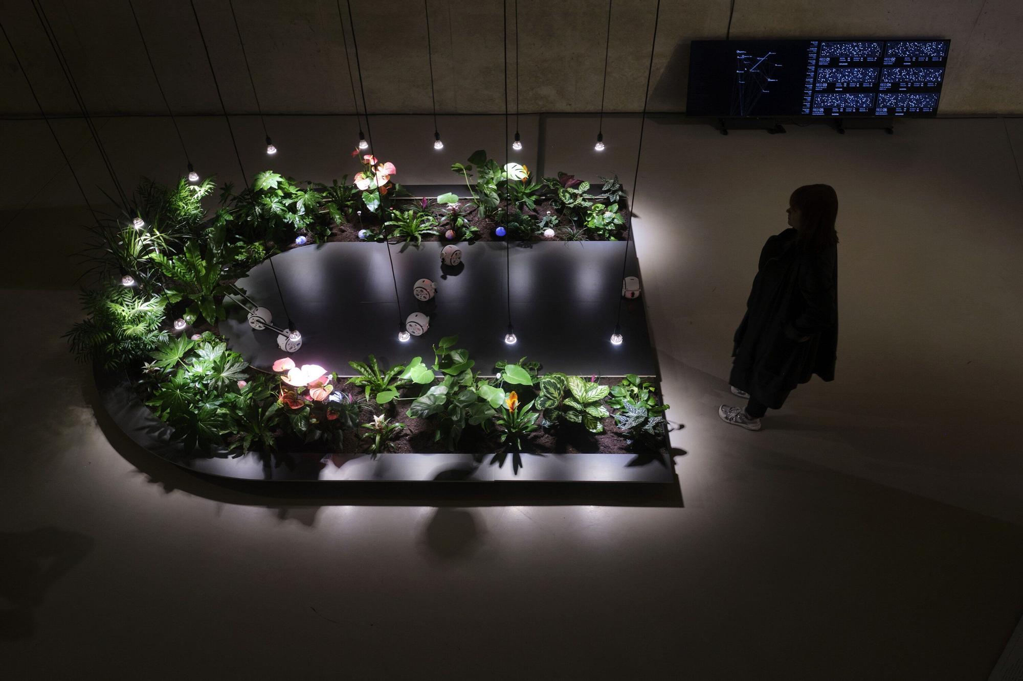 Inauguración de la exposición de los proyectos de &#039;Memoria Artística de los Encuentros&#039;