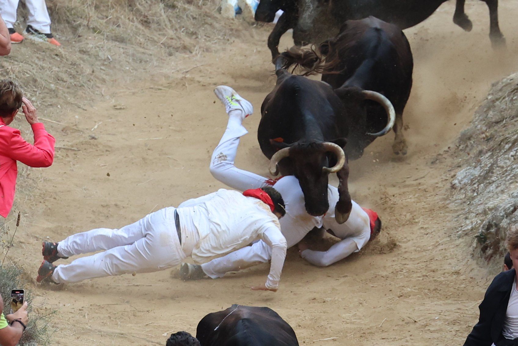 Fotos del tercer encierro del Pilón de Falces 2025