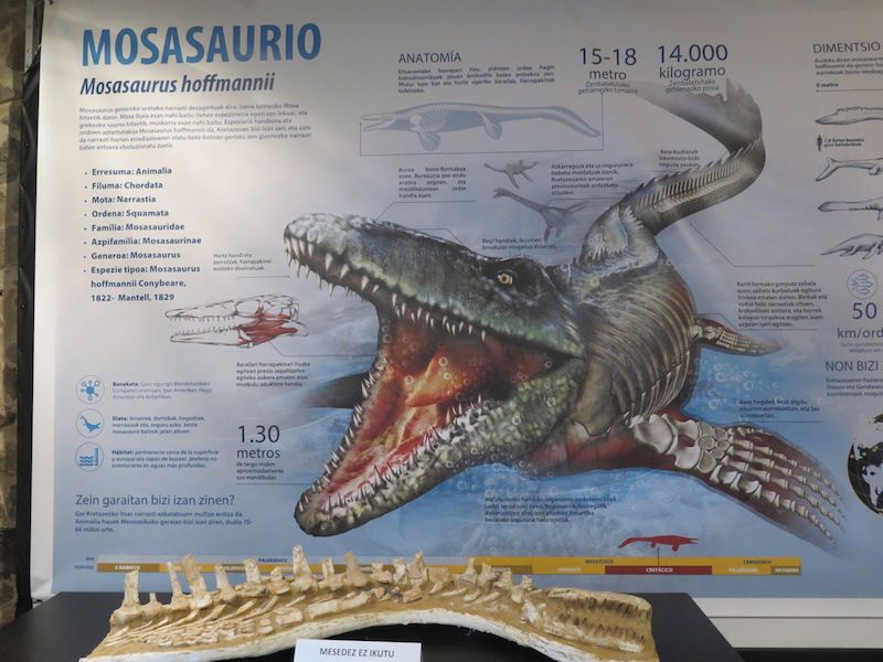 Los minerales, los fósiles y los dinosaurios toman Urretxu