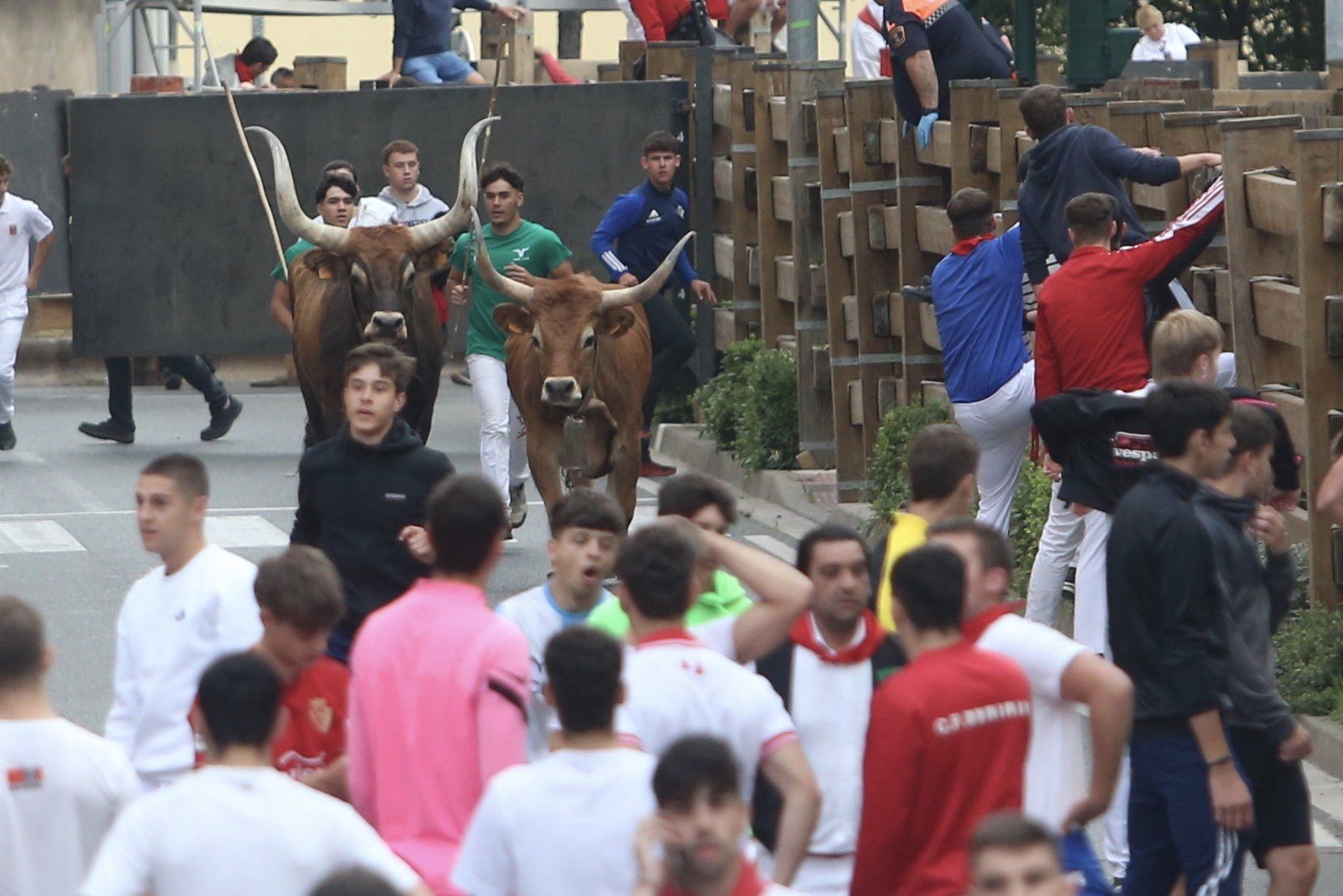 Fotos del sexto y último encierro de las fiestas de Tudela 2025