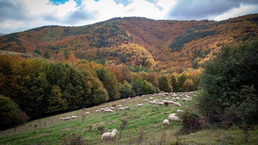 Europa, en el dilema entre el clima y la competitividad