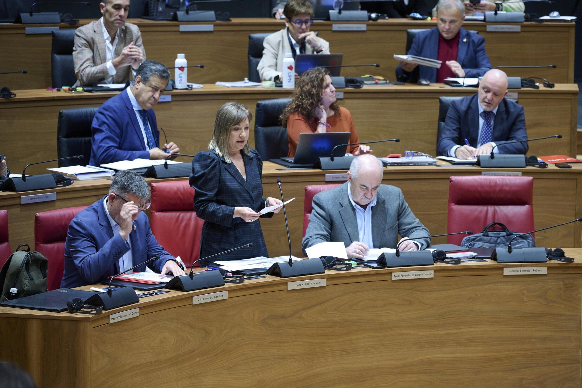 Fotos del pleno del Parlamento de Navarra de este 6 de noviembre